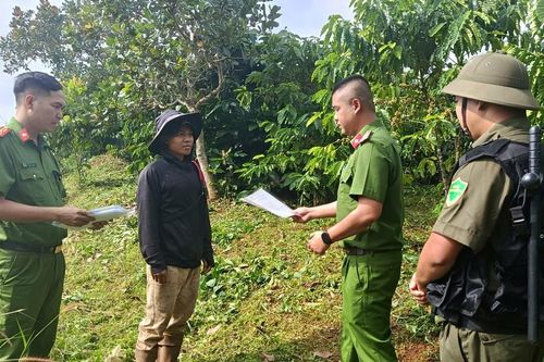 Quyết liệt, xử lý nhanh các vụ trộm cắp tài sản