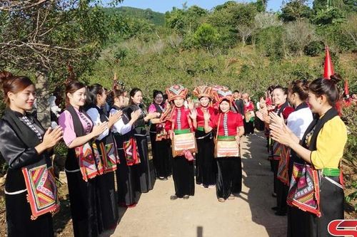 Sôi nổi phần thi hái cà phê tại Ngày hội Cà phê phường Chiềng An