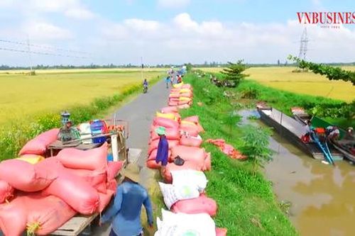 Khát vọng 'xanh và giàu' trong nông thôn mới tỉnh An Giang