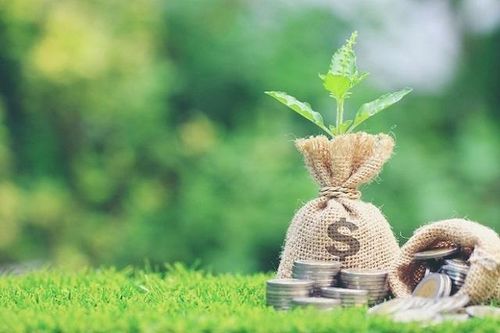 Sẽ hỗ trợ lãi suất cho doanh nghiệp vay vốn thực hiện dự án xanh