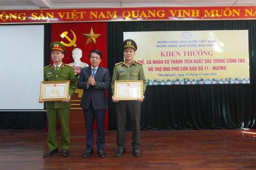 Biểu dương, khen thưởng tập thể, cá nhân có thành tích xuất sắc trong hỗ trợ, ứng phó bão số 11