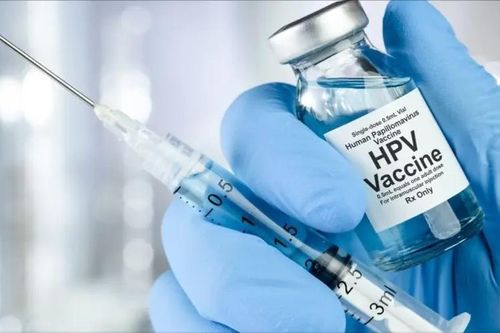 Vaccine HPV sẽ được đưa vào tiêm miễn phí từ năm 2026
