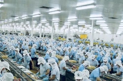 Lãi quý 3/2025 tăng gấp 3 lần, 'vua tôm' MPC lãi 223 tỷ, tiền gửi Vĩnh Hoàn (VHC) lên 4.400 tỷ