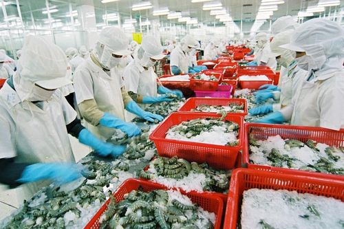 Không được nghỉ cuối tuần, doanh nghiệp thủy sản chật vật tuyển lao động