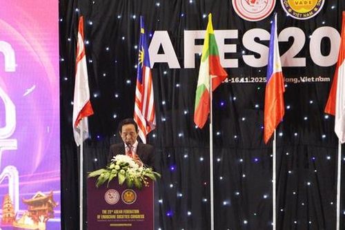 AFES 2025: Thúc đẩy ứng dụng công nghệ số trong y học hiện đại