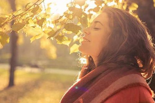 4 loại thực phẩm giàu vitamin D nên bổ sung vào mùa đông