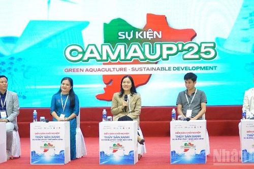 CamaUP'25 khơi dậy khát vọng khởi nghiệp ở Cà Mau