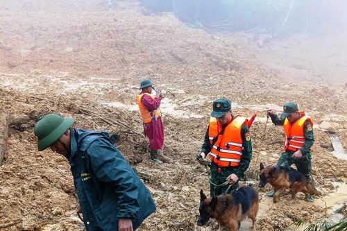 Sạt lở kinh hoàng ở Đà Nẵng: Quân khu 5 huy động chó nghiệp vụ, nỗ lực tìm nạn nhân