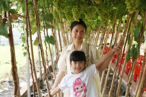 Uống cà phê xem cừu giữa vườn nho trĩu quả ở TPHCM