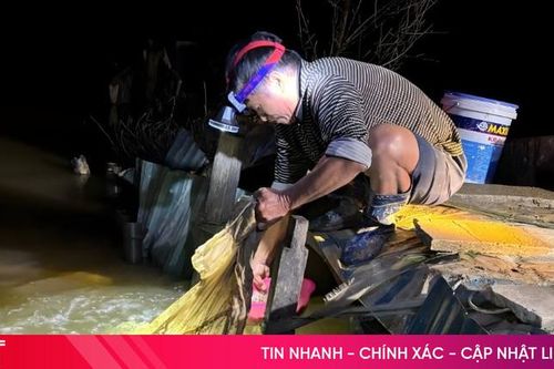 Nhộn nhịp mùa rươi trên các bãi bồi ven sông Hà Tĩnh