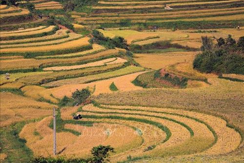 Du lịch Việt Nam bứt phá 'mùa vàng' cuối năm