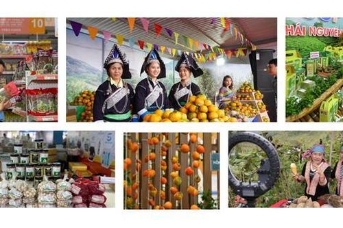 Thúc đẩy thương mại miền núi, vùng sâu, vùng xa và hải đảo, hướng tới phát triển bền vững