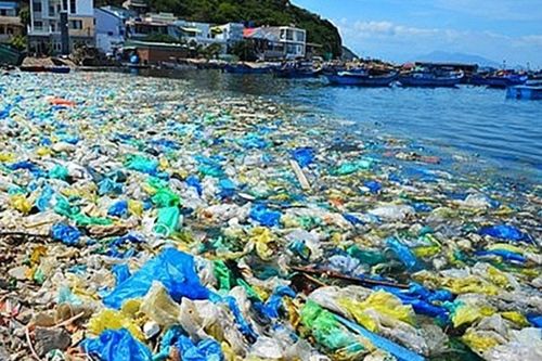 Giảm 2.000 tấn rác thải nhựa, cải thiện 13.400 ha sinh cảnh biển