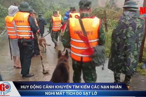 Huy động cảnh khuyển tìm kiếm các nạn nhân nghi mất tích do sạt lở