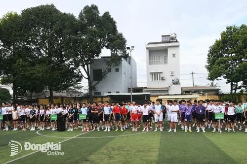 Khắp nơi trong tỉnh ngày 16-11-2025