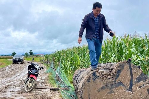 Chưa có cơ sở khẳng định kiểm lâm địa bàn Phú Thiện 'tiếp tay' vụ trục vớt gỗ tại sông Ayun