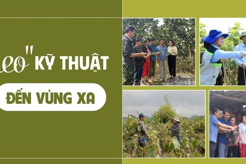 'Gieo' kỹ thuật đến vùng xa