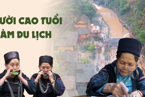 Người cao tuổi làm du lịch