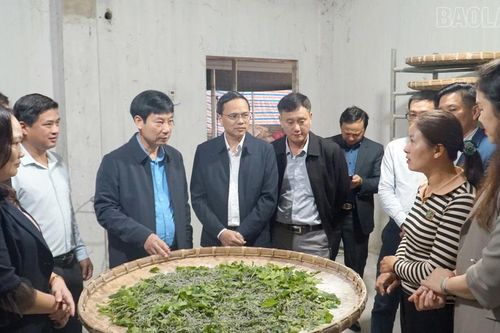 Đồng hành với hội viên nông dân phát triển kinh tế