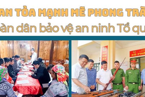 Lan tỏa mạnh mẽ Phong trào 'Toàn dân bảo vệ an ninh Tổ quốc'