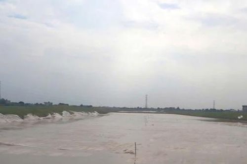 Nhà thầu lớn 'lên dây cót' tăng tốc tiến độ thi công cao tốc Ninh Bình - Hải Phòng