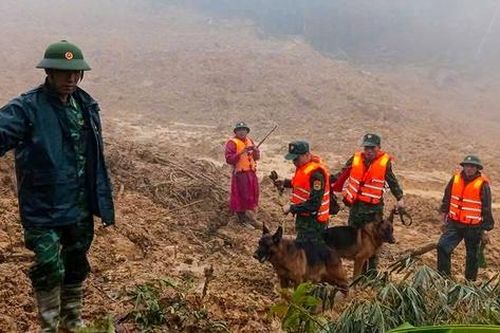 Tạm dừng tìm kiếm 3 nạn nhân vụ sạt lở núi ở TP Đà Nẵng do mưa lớn và sương mù