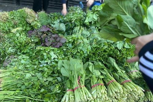 Giá rau 'phi mã' sau bão, bữa cơm gia đình Thủ đô chịu áp lực nặng nề