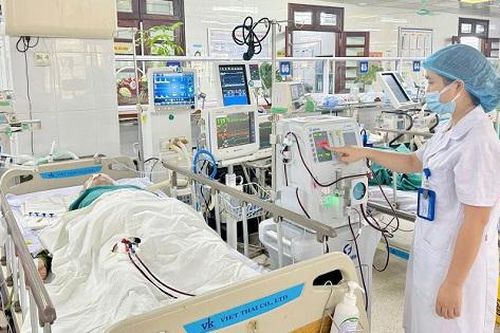 Cấp cứu, điều trị thành công bệnh nhân suy đa tạng do ong vò vẽ đốt