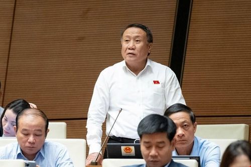 Băn khoăn việc ô tô phải có 'thiết bị an toàn phù hợp cho trẻ em'