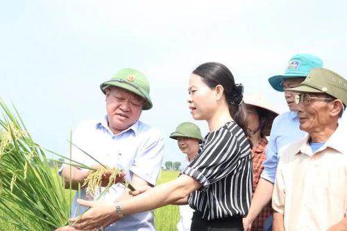 Nhân rộng mô hình nông nghiệp xanh, phát thải thấp