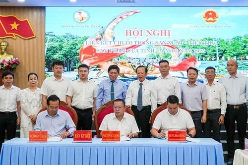 Xây dựng chuỗi liên kết cua Cà Mau: Bệ phóng cho đặc sản vươn xa