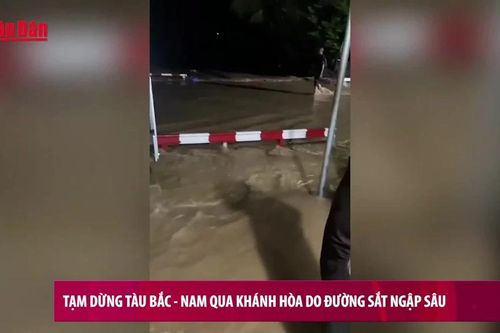 Tạm dừng tàu Bắc – Nam qua Khánh Hòa do đường sắt ngập sâu