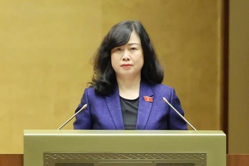 Trình Quốc hội cơ chế, chính sách đột phá cho công tác bảo vệ, chăm sóc và nâng cao sức khỏe nhân dân