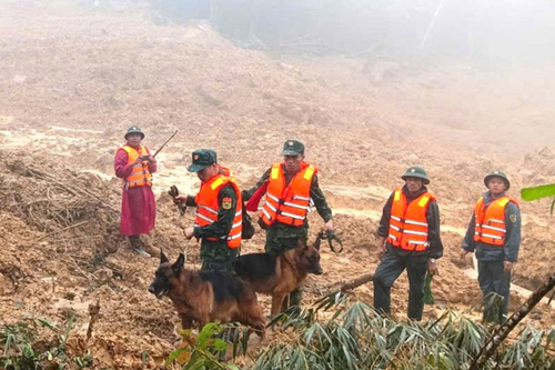 Nỗ lực tìm kiếm người mất tích trong vụ sạt lở núi
