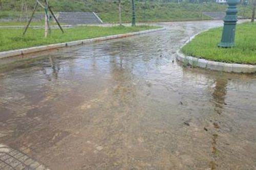 Công viên… vồ ếch!
