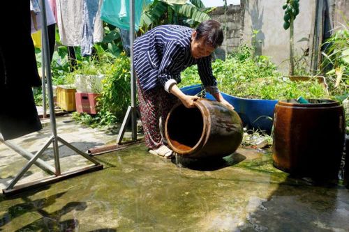 Tây Ninh: Số ca sốt xuất huyết tăng gấp 5 lần, 3 người tử vong