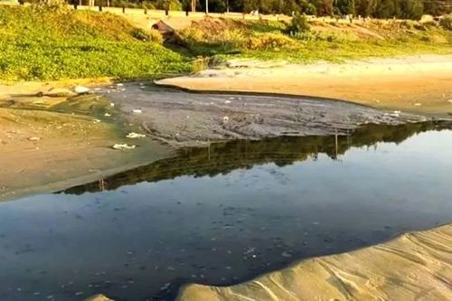 Vụ xả thải ra biển Mũi Né: Xử phạt chủ resort Asteria Mui Ne 50 triệu đồng
