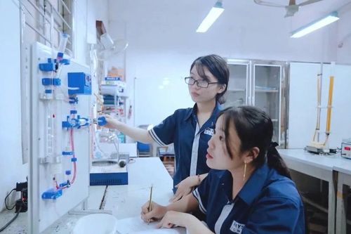 Đổi mới đào tạo sư phạm: Chuẩn hóa năng lực cho kỷ nguyên số