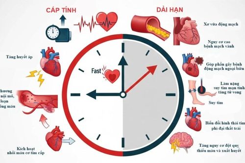 Infographic: Biến chứng tim mạch của việc hút thuốc lá