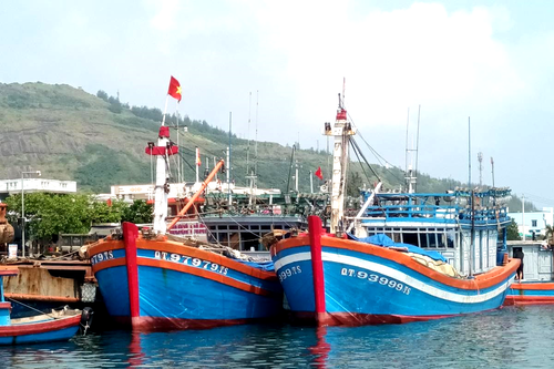 Kiên quyết chống khai thác thủy sản bất hợp pháp
