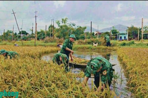 Các hoạt động hướng về người dân khu vực biên giới
