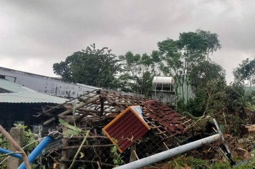 Người dân bàng hoàng kể lại vài chục giây lốc xoáy 'lướt' qua khiến nhà tốc mái, cây gãy đổ, 4 người bị thương