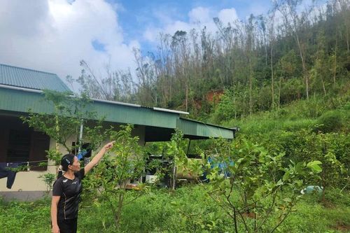 Nhiều đồi núi sạt lở, người dân sống bất an