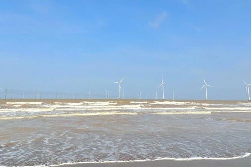 REE được giao hơn 7.000 ha biển Vĩnh Long để khảo sát điện gió ngoài khơi