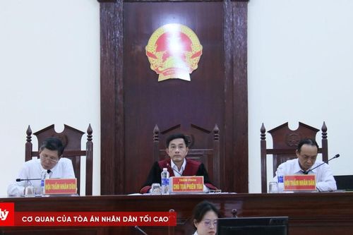 Lĩnh 6 năm tù vì tàng trữ ma túy trái phép