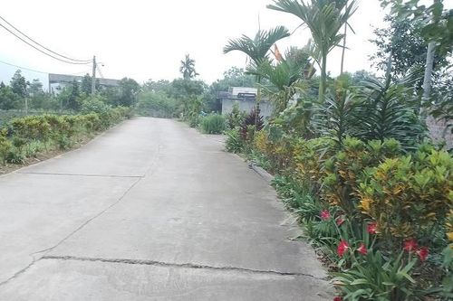 Kiểm tra kết quả xây dựng nông thôn mới nâng cao ở xã An Ngãi Trung (Vĩnh Long)