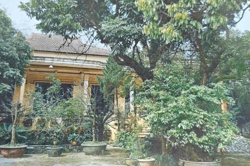 Nhiều băn khoăn khi Tòa án chia tài sản thừa kế cho người không có quan hệ huyết thống
