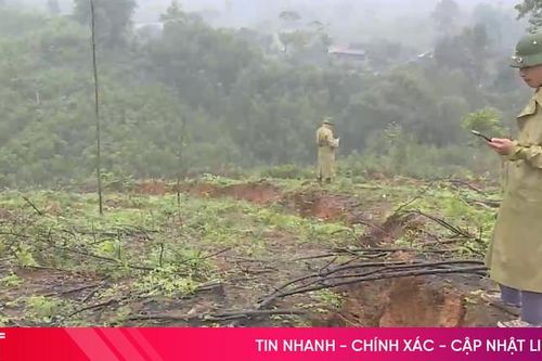 Vết nứt lớn trên đồi uy hiếp tài sản, tính mạng người dân
