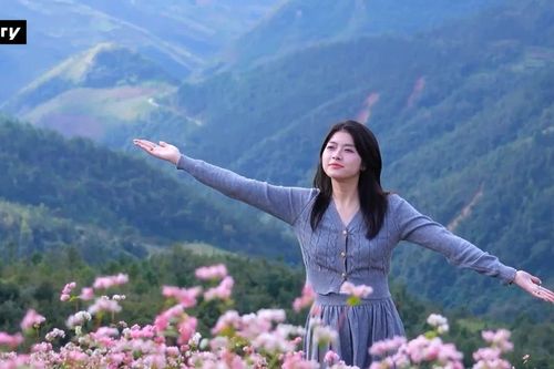 Tam giác mạch vào mùa, Hà Giang -Tuyên Quang trở thành điểm check-in hút khách