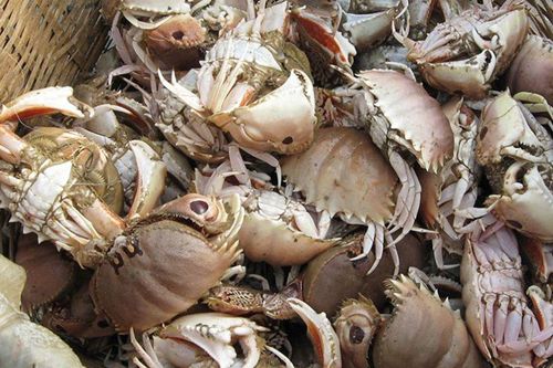 Loài vật có tên lạ nhìn như cua nhưng không phải, là đặc sản miền Tây, rang me ăn ngon quên lối về